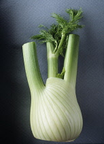 Fennel bulb, Florence fennel, Foeniculum vulgare azoricum.