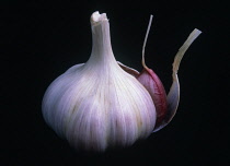 Garlic, Allium sativum.