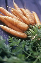Carrot, Daucus carota.