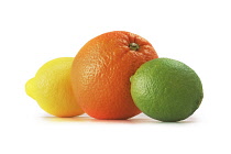 Orange, Citrus sinensis.