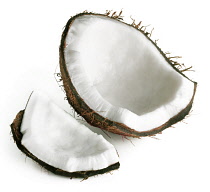 Coconut, Cocos nucifera.