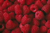 Raspberry, Rubus idaeus.