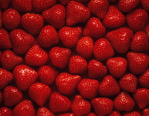 Strawberry, Fragaria x ananassa.