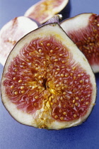 Fig, Ficus carcia.