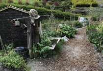 Allotment.