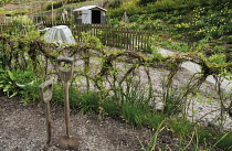 Allotment.