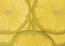 Lemon, Citrus limon.