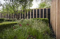 Chelsea Flower Show 2013, Daily Telegraph garden, Designer Christopher Bradley Hole