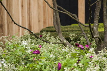 Chelsea Flower Show 2013, Daily Telegraph garden, Designer Christopher Bradley Hole