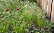 Chelsea Flower Show 2013, Daily Telegraph garden, Designer Christopher Bradley Hole