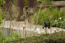 Chelsea Flower Show 2013, Laurent Perrier garden, Designer Ulf Nordfjell. Gold award