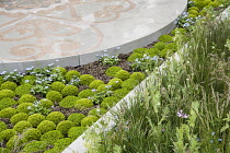 Chelsea Flower Show 2013, B&Q Sentebale ‘Forget-me-not’ Garden, Designer Jinny Blom. Sentebale is Prince Harry's charity. Silver Gilt Flora medal