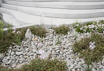 Chelsea Flower Show 2013, B&Q Sentebale ‘Forget-me-not’ Garden, Designer Jinny Blom. Sentebale is Prince Harry's charity. Silver Gilt Flora medal