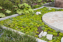 Chelsea Flower Show 2013, B&Q Sentebale ‘Forget-me-not’ Garden, Designer Jinny Blom. Sentebale is Prince Harry's charity. Silver Gilt Flora medal