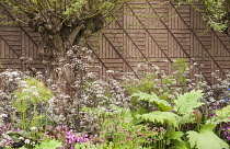 Chelsea Flower Show 2013, B&Q Sentebale ‘Forget-me-not’ Garden, Designer Jinny Blom. Sentebale is Prince Harry's charity. Silver Gilt Flora medal