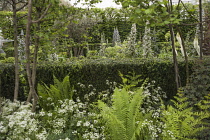 Chelsea Flower Show 2013, Arthritis research UK, Designer Chris Beardshaw. Gold medal