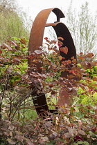 Chelsea Flower Show 2013, M&G Centenary, Designer Roger Platts. Gold medal