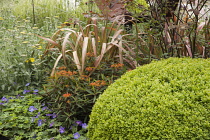 Chelsea Flower Show 2013, M&G Centenary, Designer Roger Platts. Gold medal