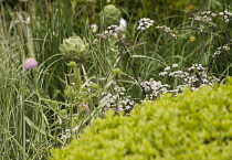 Chelsea Flower Show 2013, M&G Centenary, Designer Roger Platts. Gold medal