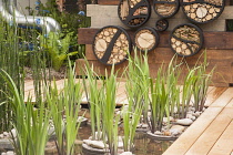 Chelsea Flower Show 2013, RBC Blue water roof garden, Designer Prof Nigel Dunnett. Gold medal