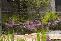 Chelsea Flower Show 2013, RBC Blue water roof garden, Designer Prof Nigel Dunnett. Gold medal