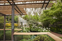 Chelsea Flower Show 2013, East Village garden, Designers Michael Balston and Marie-Louise Agius. Gold medal