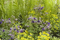 Chelsea Flower Show 2013, East Village garden, Designers Michael Balston and Marie-Louise Agius. Gold medal