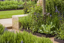 Chelsea Flower Show 2013, Homebase garden, 'Sowing the Seeds of Change' Designer Adam Frost. Gold medal.