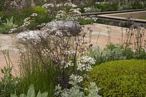 Chelsea Flower Show 2013, Brewin Dolphin garden, Designer Robert Myers. Gold medal