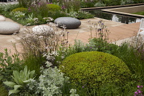 Chelsea Flower Show 2013, Brewin Dolphin garden, Designer Robert Myers. Gold medal