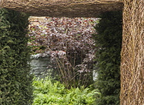 Chelsea Flower Show 2013, Stockton Drilling's 'As Nature intended', Designer Jamie Dunstan. Silver Gilt Flora medal