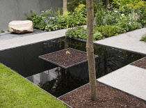 Chelsea Flower Show 2013, Fera - Stop the spread, Designer Jo Thompson. Silver Flora medal