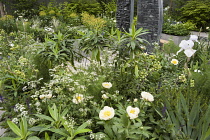 Chelsea Flower Show 2013, Fera - Stop the spread, Designer Jo Thompson. Silver Flora medal