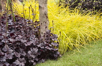 Chelsea Flower Show 2013, The SeeAbility garden, Designer Darren Hawkes Landscapes. Silver Gilt Flora medal