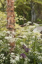 Chelsea Flower Show 2013, The Wasteland, Designer Kate Gould. Gold medal