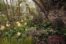 Chelsea Flower Show 2013, Stoke-on-Trent's story of transformation, Designer Stoke-on-trent council landscapers. Silver Flora medal