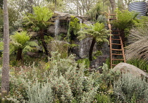 Chelsea Flower Show 2013, Trailfinders Australian garden, Flemings nurseries, Designer Philip Johnson. Gold medal and Best in Show