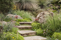 Chelsea Flower Show 2013, Trailfinders Australian garden, Flemings nurseries, Designer Philip Johnson. Gold medal and Best in Show