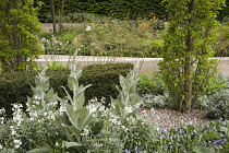 Chelsea Flower Show 2013, Laurent Perrier garden, Designer Ulf Nordfjell. Gold award