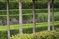 Chelsea Flowershow 2009, The Laurent Perrier Garden designed by Luciano Giubbilei. With Hornbeam, Carpinus betulus, Box and Yew hedge.