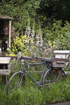Chelsea Flowershow 2009, The Fenland Alchemist's Garden. Gold medal winner, Best Courtyard Garden, designed by Stephen Hall and Jane Besser. Informal planting scheme with old bicycle leaning against w...