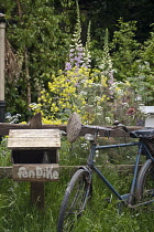 Chelsea Flowershow 2009, The Fenland Alchemist's Garden. Gold medal winner, Best Courtyard Garden, designed by Stephen Hall and Jane Besser. Informal planting scheme with old bicycle leaning against w...