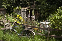 Chelsea Flowershow 2009, The Fenland Alchemist's Garden, Gold medal winner Best Courtyard Garden, designed by Stephen Hall and Jane Besser. Informal planting scheme with old bicycle leaning against wo...