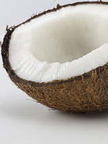 Cocos nucifera, coarse textured brown shell cut open to reveal white flesh of coconut.