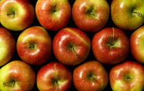 Apples packed together with shiny red and yellow skin.