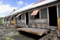 West Indies, Windward Islands, Grenada, Cocoa beans drying in the sun on retractable racks under the drying sheds at Dougaldston Estate plantation in St John parish