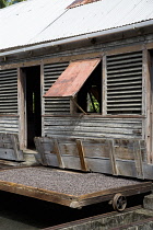 West Indies, Windward Islands, Grenada Cocoa beans drying in the sun on retractable racks under the drying sheds at Dougaldston Estate plantation in St John parish