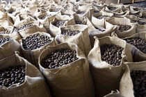 West Indies, Windward Islands, Grenada, Sacks of dried nutmegs in the Gouyave Nutmeg Processing factory.