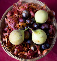 West Indies, Windward Islands, Grenada, Basket at the Belmont Estate plantation in St Patrick parish containing nutmeg fruit nutmegs and mace.