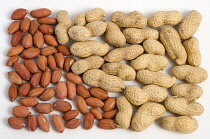 Groundnuts Peanuts and kernels on a white background.